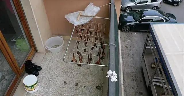 華人陽臺曬雞翅被看成曬蝙蝠，意大利人報警了，市長都來圍觀······